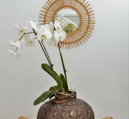 아파트 Harmonia House *