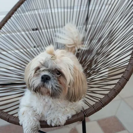 Harmonia House Appartamento Kamári