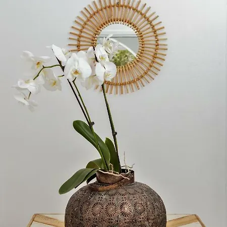 아파트 Harmonia House *