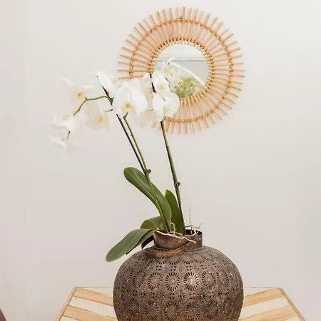 Harmonia House 아파트 Kamári