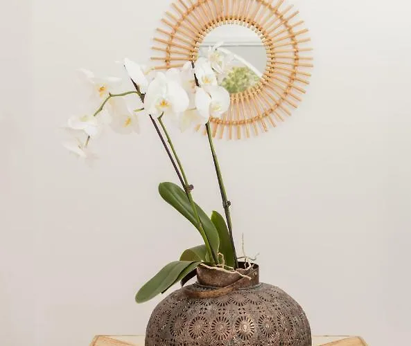 Harmonia House Daire Kamári